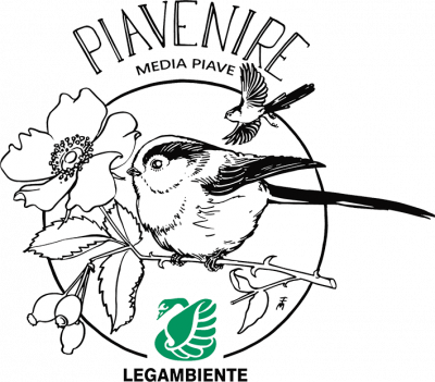 LOGO PIAVENIRE piccolo