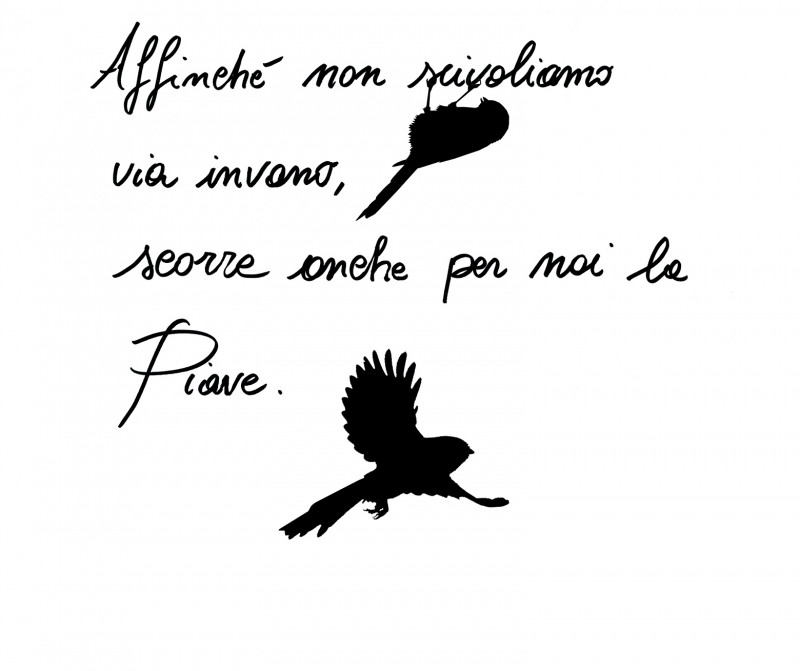 SCritta gianpi136